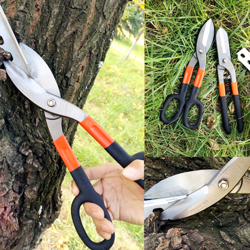 TB2p2oqcY1J.eBjy1zeXXX9kVXa_!!