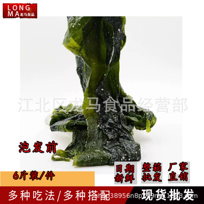 【龙马食品】海带芽裙海带苗海白菜 麻辣烫火锅食材 6斤/箱 包邮