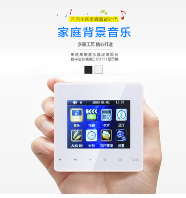 86 3 inch Color Smart home Background music host Insert card U disk controller