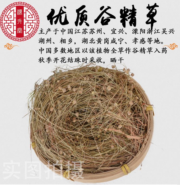 Gu Jing Zhu (Eriocaulon Flower Bud) — Dried Food Herb, 500g Bulk Herbal Supply key features