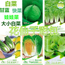 �ʰ��߲˷N�Ӳ��̨�r����@�׷N�N��ͥԺ�ﶬ�紺�ײ�����