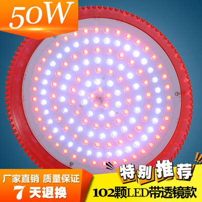 带透镜LED猪肉灯厂家直销生鲜灯超市水果蔬菜商场海鲜熟食专用灯