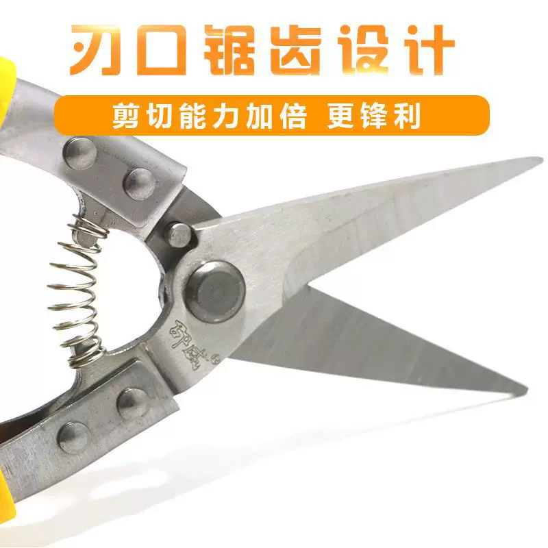 Scissors reusable stainless steel, wholesale