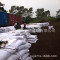 广西速洁锰砂滤料厂 供应吉林延吉市水处理用锰砂滤料及石英砂