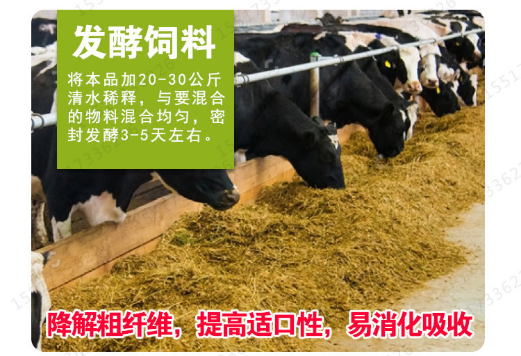 發酵牛飼料用的益生菌