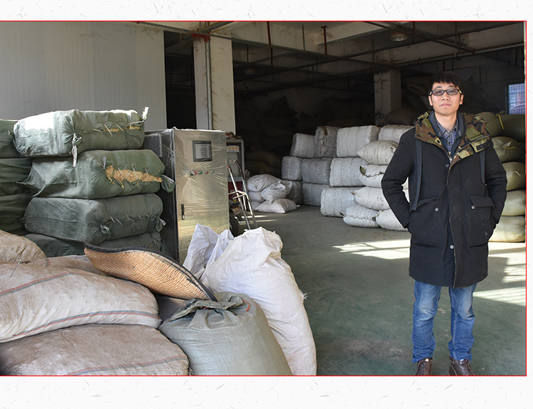 E Bu Shi Cao (Centipeda minima) — Dried Food Herb for Tea & Soup quality and texture