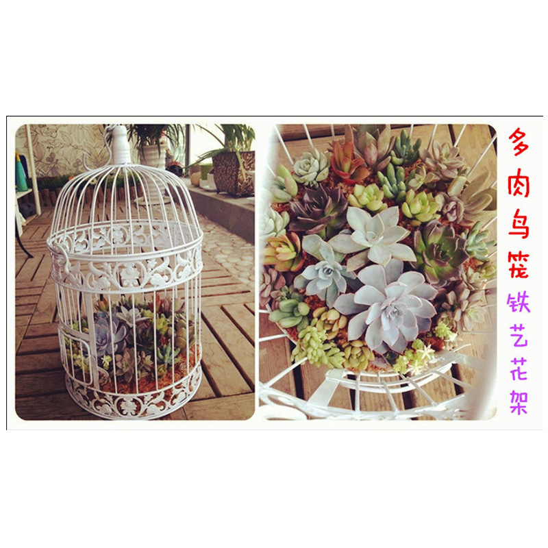 Envío gratuito accesorios de boda decoración creativa hogar boda ventana decoración Europea hierro pájaro jaula ventana Decoración