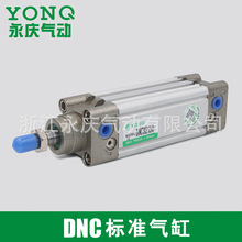 ���N  DNC32X100���Ԫ�� ISO15552��׼���