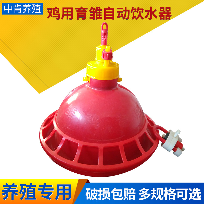 鸡用育雏自动饮水器 加厚鸡用饮水器鸡鸭鹅喝水碗 雏鸡用饮水器