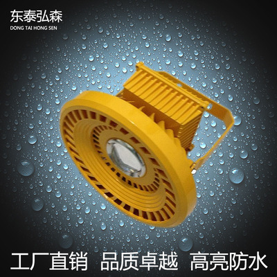 led防爆灯20W30W50W80W100W加油站灯隧道灯工厂灯厂房灯|ms