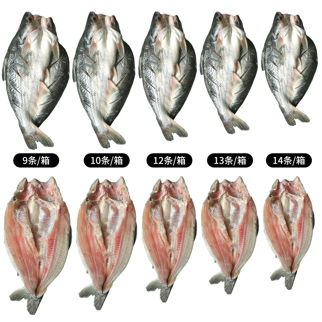 活冻开边 开背巴沙鱼 冷冻湄公鱼烤鱼用 凌波鱼巴沙鱼烤鱼10kg/件-阿里巴巴