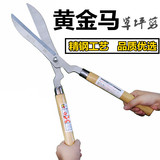 Японский забор золотистого лошади Ружа из хеджирования, нарезает газон, разрезать, нарезать чай, ножницы для сада и садовые инструменты