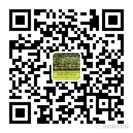 一、“致丽牌”水土混培种植箱的特点 ...