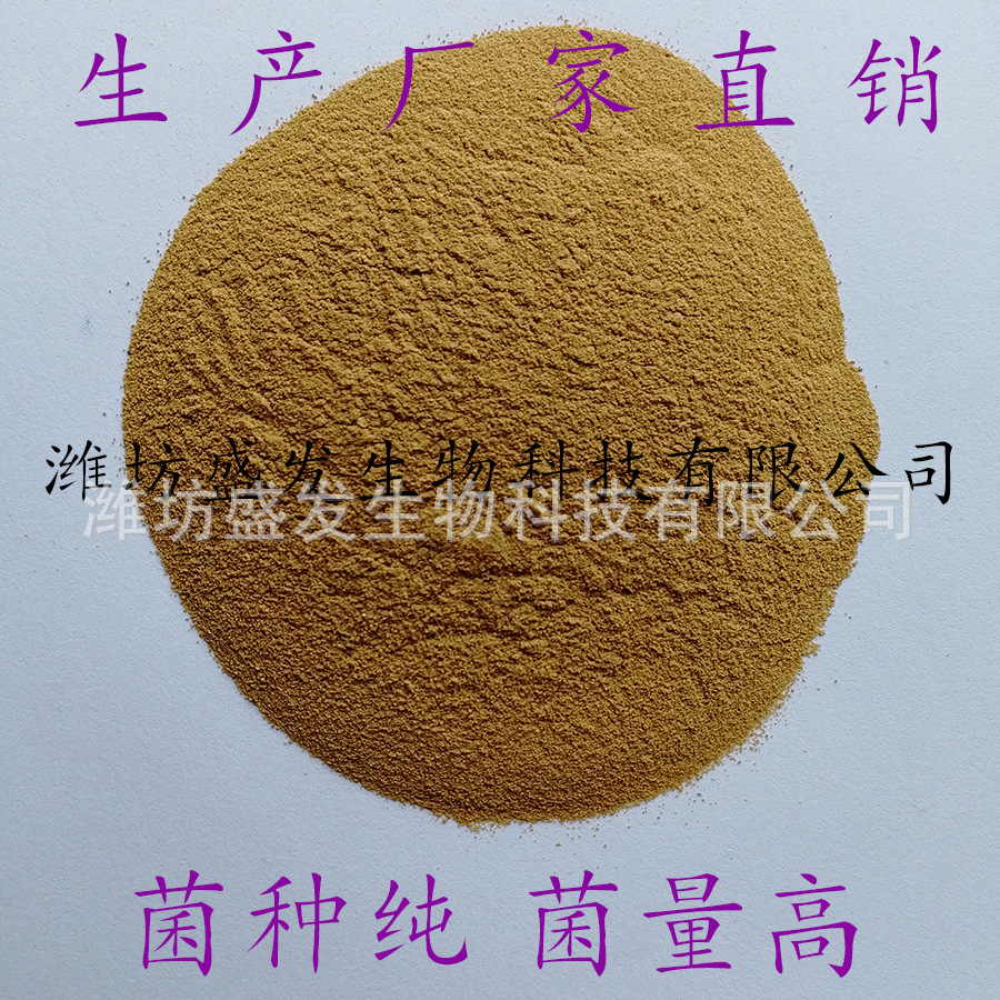枯草芽孢杆菌1000亿菌种纯 畜禽水产养殖农业种植 生物有机肥添加