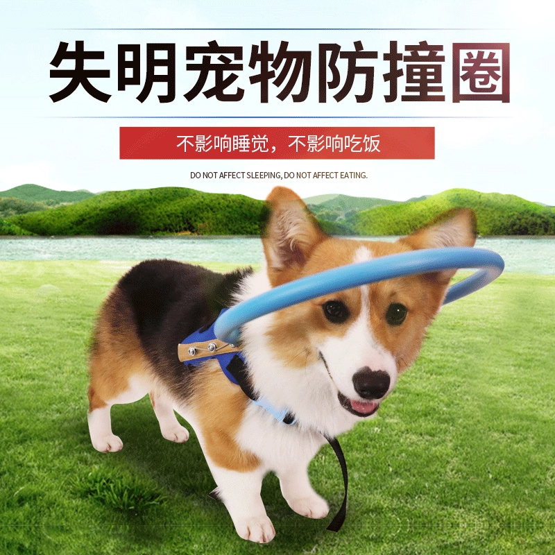 Собака Слепая ПЭТ Кольцо для предотвращения столкновений Слепая собака кошка Кольцо для защиты от столкновений Кольцо для защиты животных Слепое направляющее кольцо Защитная крышка
