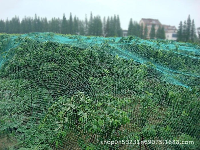 TB2F2ciXYsTMeJjy1zcXXXAgXXa_!!