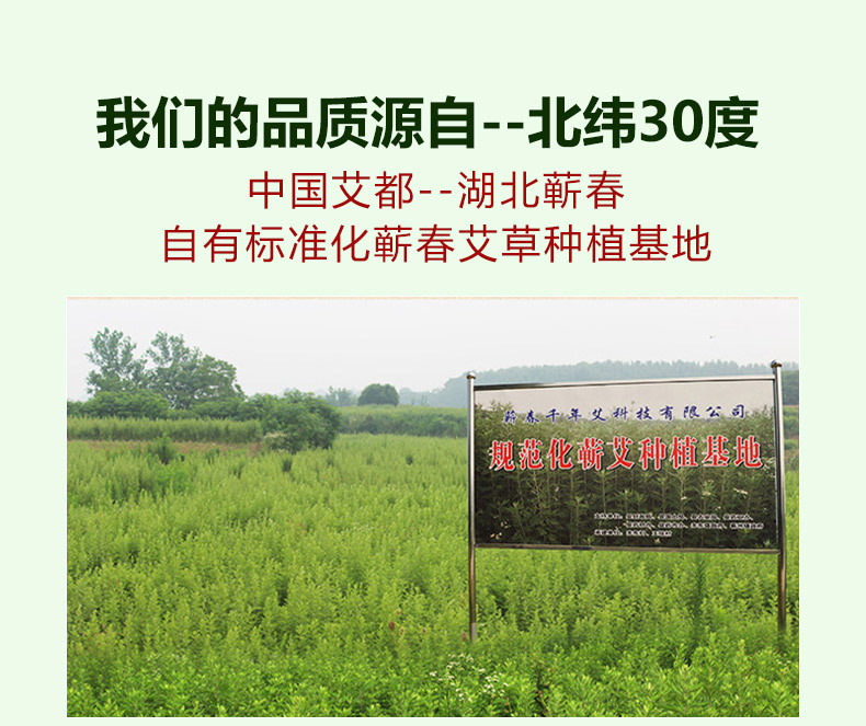 艾根详情页_01