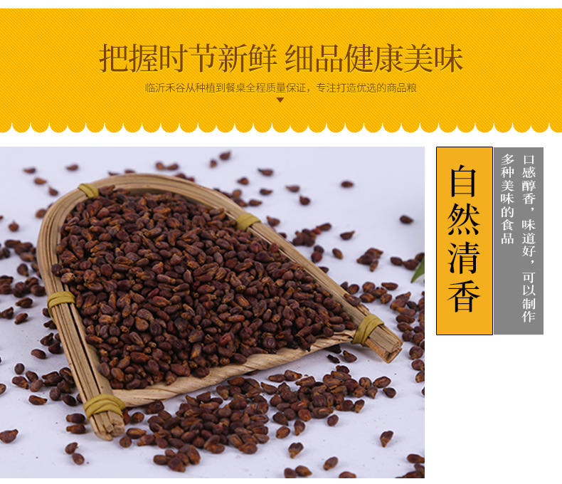 Roasted Grape Seed Kernels 500g Low Temperature Baked Bulk Raw Material for Grinding and Powder specifications