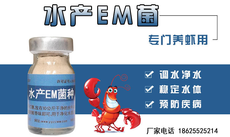 养虾专用EM菌原种