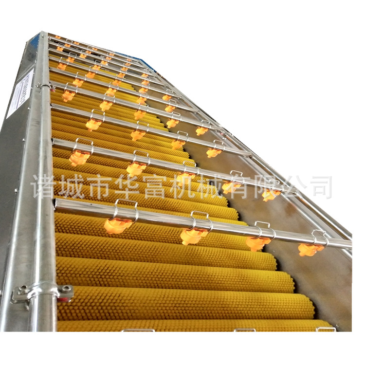 大姜清洗去皮机 高性能动力强  华富直供全自动节能毛辊清洗设备