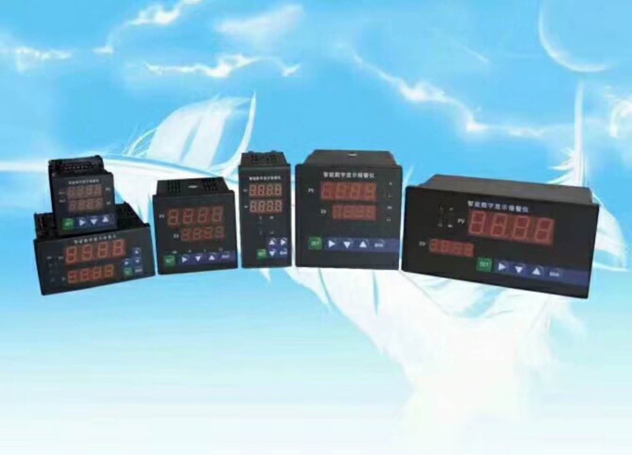 智能数显仪