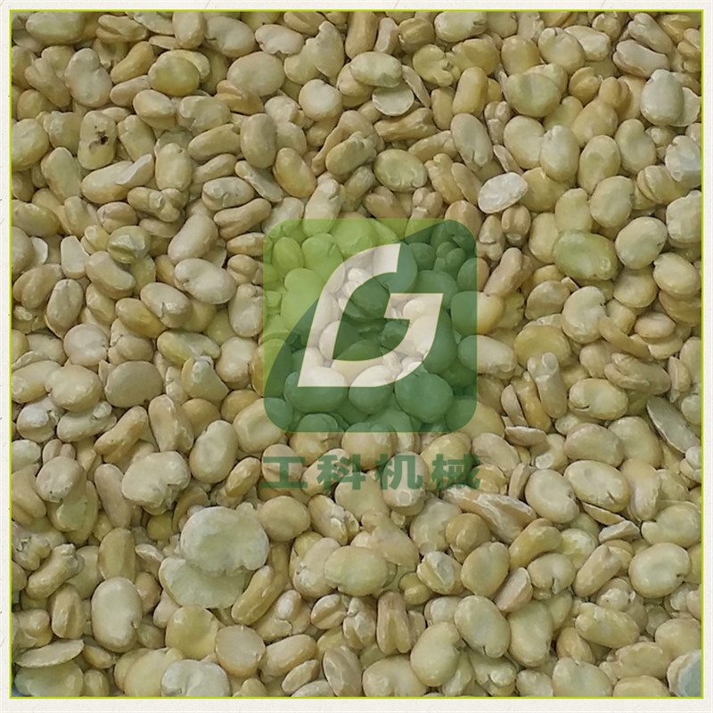 蚕豆脱皮机，蚕豆整粒去皮机，蚕豆脱壳机