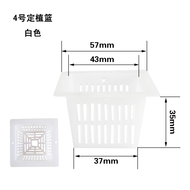 厂家批发 44-54MM水培花卉定植篮 PE定植篮 黑白两色可选4号方形|ms