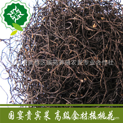 wild Spiced sparrow with walnuts dried food New products Gansu specialty Farm self-control edible Produce 250g Discounts