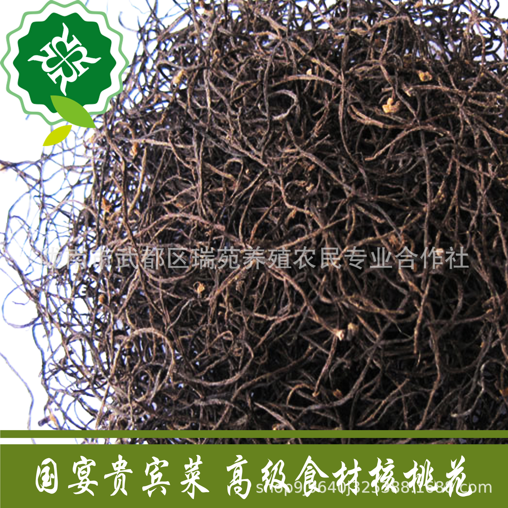 wild Spiced sparrow with walnuts dried food New products Gansu specialty Farm self-control edible Produce 250g Discounts