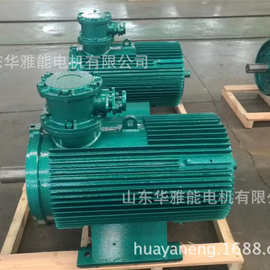 变频防爆YDEJ-200L1-6-18.5电机个性化YDEJ防爆电机量体