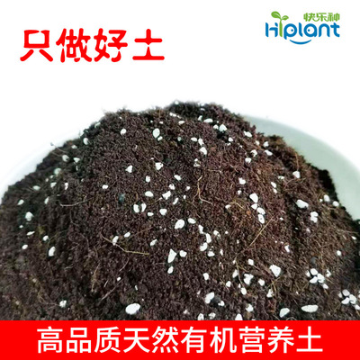 育苗基质营养土有机蔬菜种菜草莓种植土多肉泥炭土多肉盆栽批发|ms