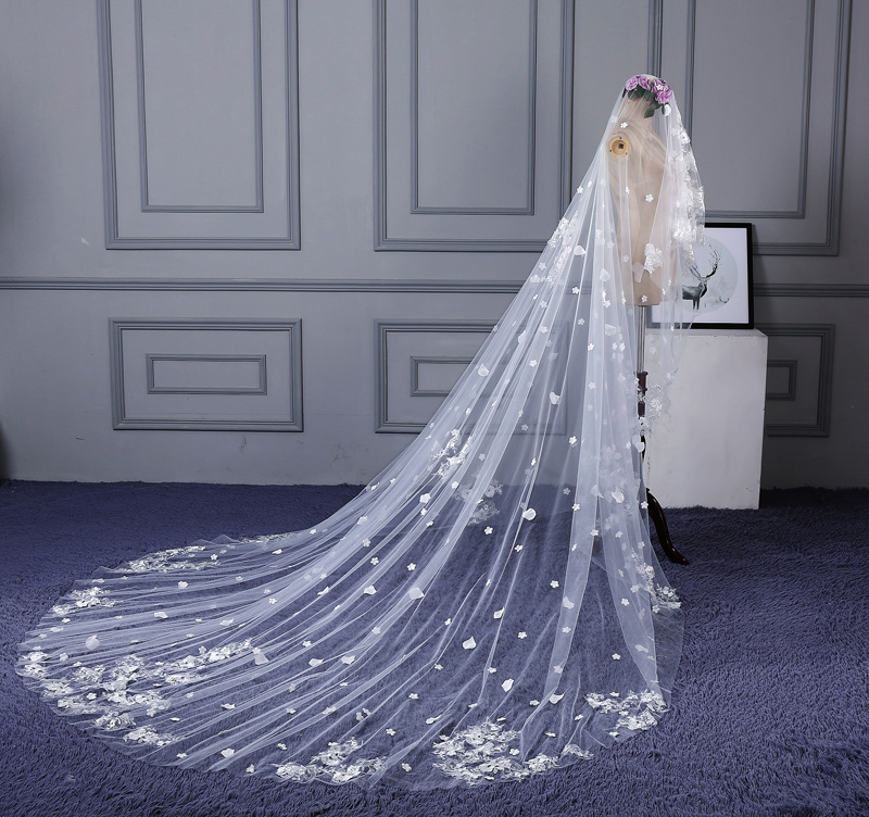 1 Layer Bridal Cathedral Veil Lace Applique Tulle Edge Bridal Wedding