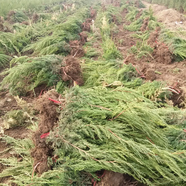 2374143770_983903828