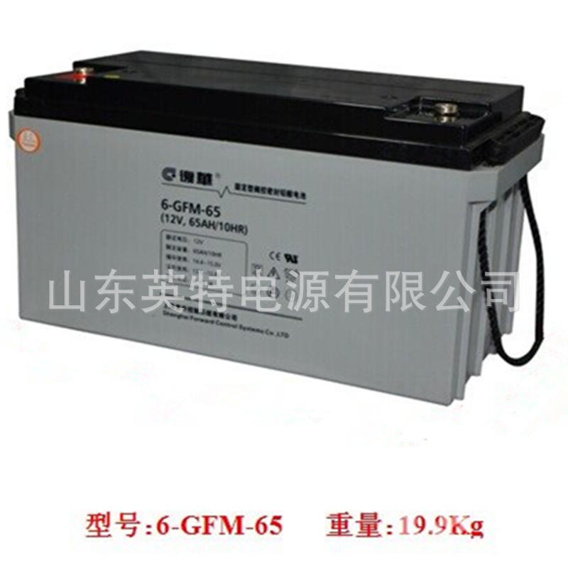 供应复华蓄电池12V6H 保护神蓄电池6-GFM-65 12V6H UPS蓄电池