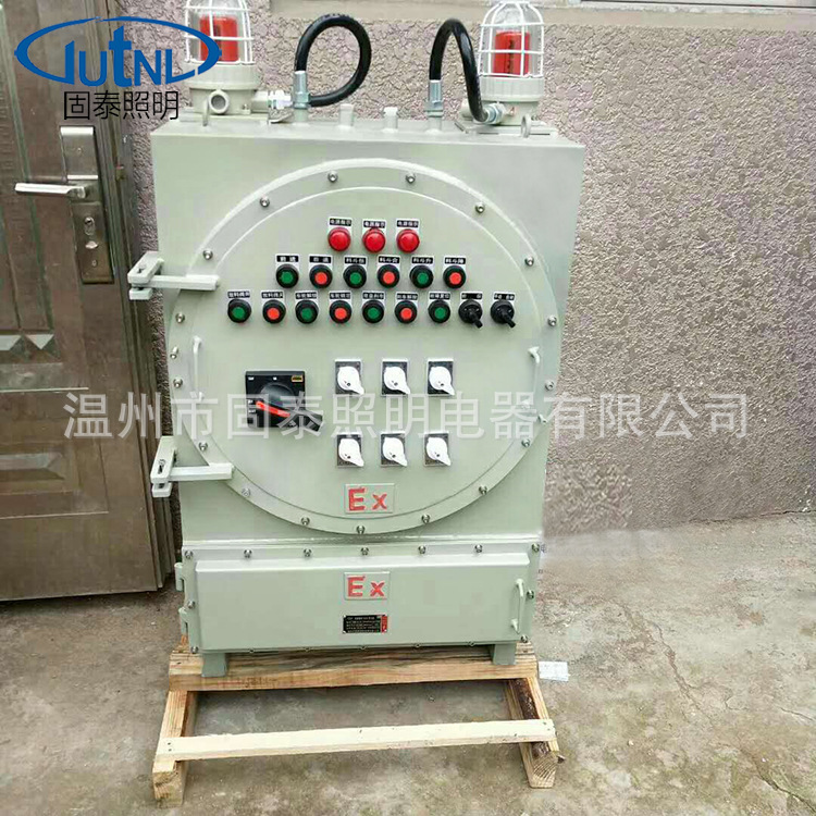 定做BXD51粉尘防爆控制柜IICIIB  防爆动力配电柜 可带防雨罩