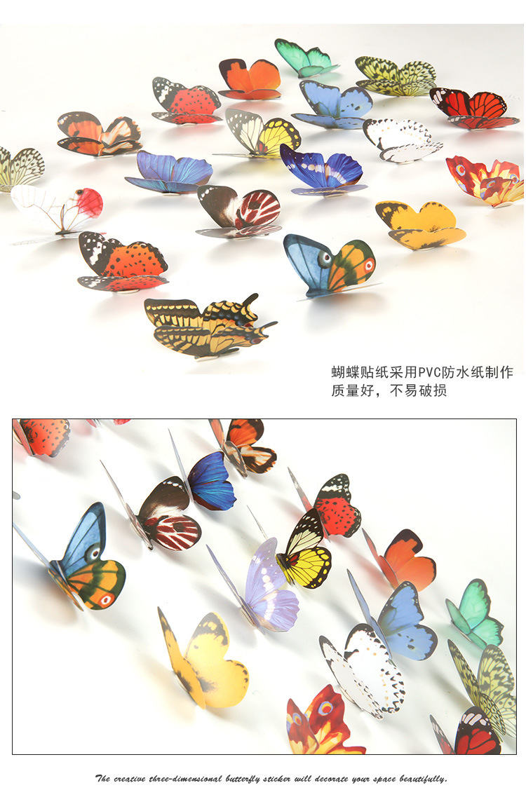 蝴蝶_10.jpg