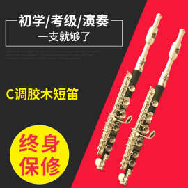 哈麦伦 专业演奏短笛 金属头C调胶木短笛 镀银按键乐器批发