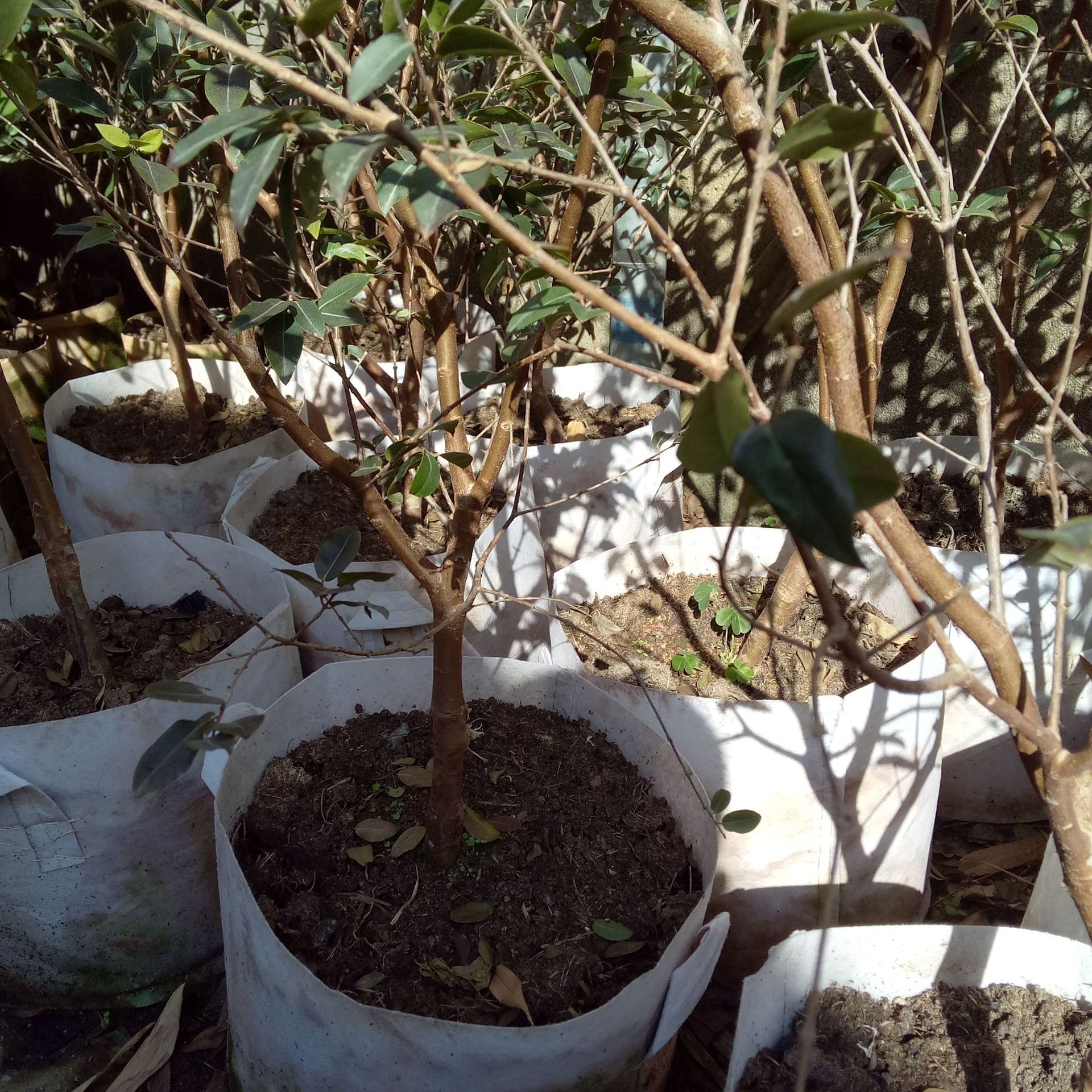 IMG20180112102636