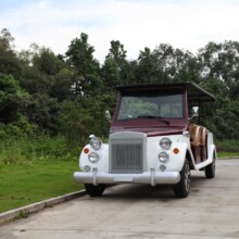 燃油老爷车  11座代步看房车看楼车  座椅旅游观光车