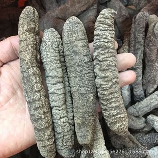 �t���� ���� ���l�� ˮ�l���ú��� �a��ֱ�N