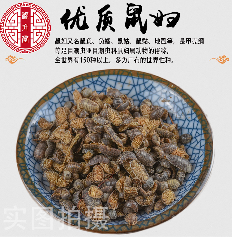 Shu Fu Chong (Porcellio scaber) — Dried Woodlouse for Traditional Herbal Use key features