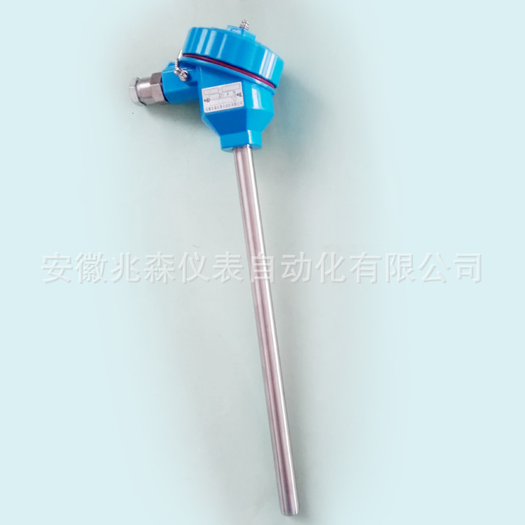 防爆热电阻 WZP-140 WZP-141 WZP-142 WZP-143 WZP-144 WZP-146