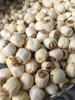 莲蓬头莲蓉做莲蓉月饼建宁莲子广昌莲子附近赣南白莲去芯莲子干货|ru