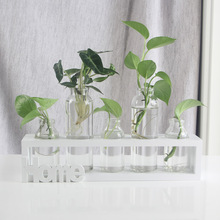 创意绿萝玻璃花瓶北欧风水培植物插花容器木架装饰品家居桌面摆件