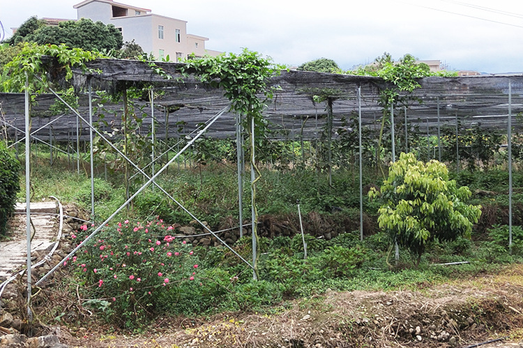 IMG20181122104302_副本