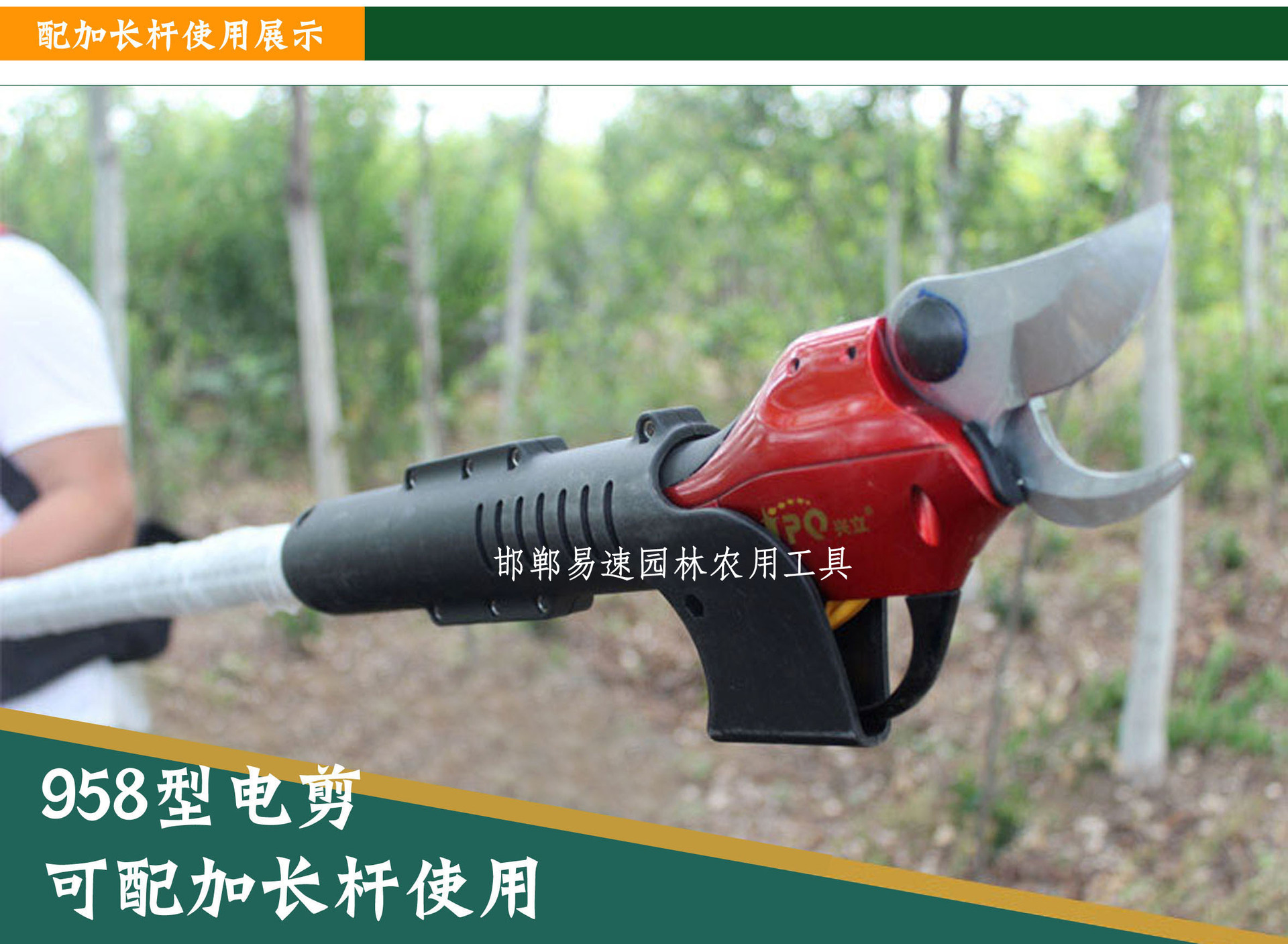 电动枝剪,修枝,评为(第19页)_大山谷图库