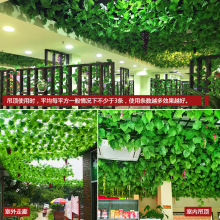 �����^������bٻ������ٗl���������ٴ������~�G�~���l30Ƭ