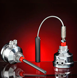 意大利AECO传感器	ACL000002	E-300 ELETTRODO INOX 300mm