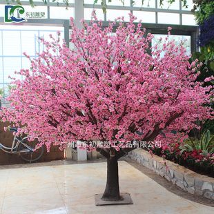 �S��ֱ�N���ͷ����һ���Ƶ��̈������S��c�ٙѻ�����滨��