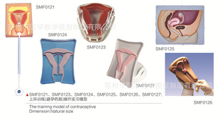 SMF012ϵ���ϭhӖ��������ș�ߣ���������ģ��